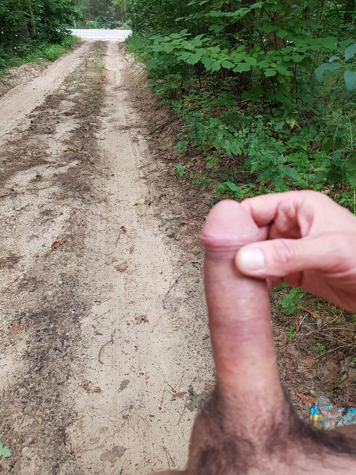 20180729_055419.jpg - Whitelittlecock