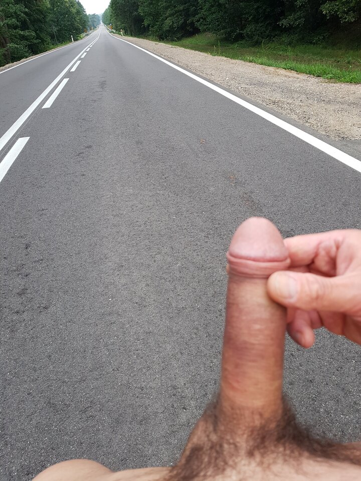 20180729_055516.jpg - Whitelittlecock