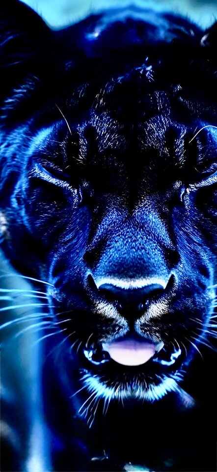 IMG_0205.jpeg - lopek1224