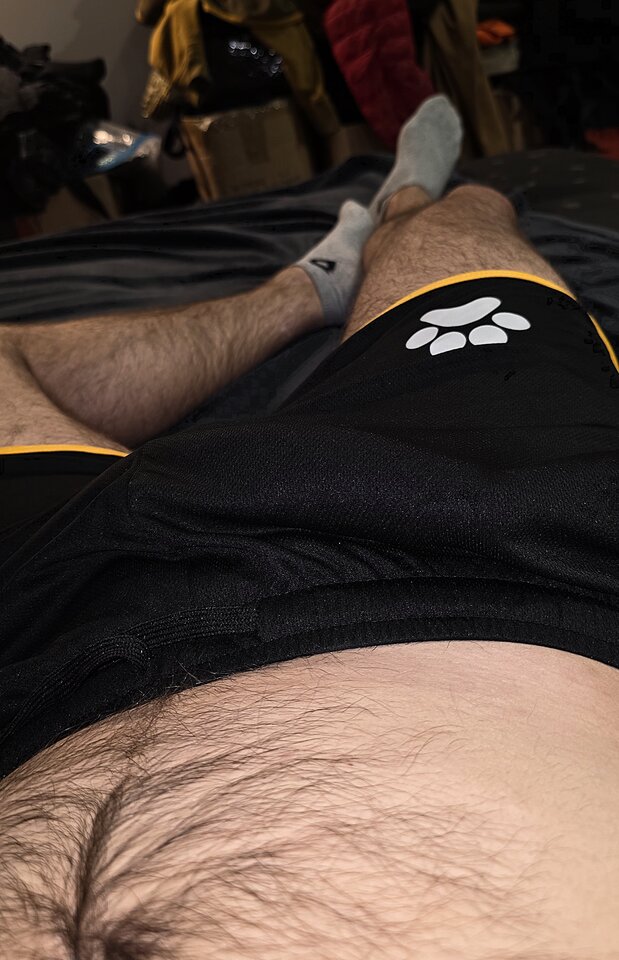 1000020462.jpg - toxict