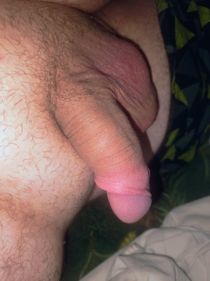 1000007576.jpg - Jamnik1611