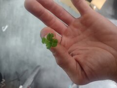 IMG_20250808_145617551.jpg