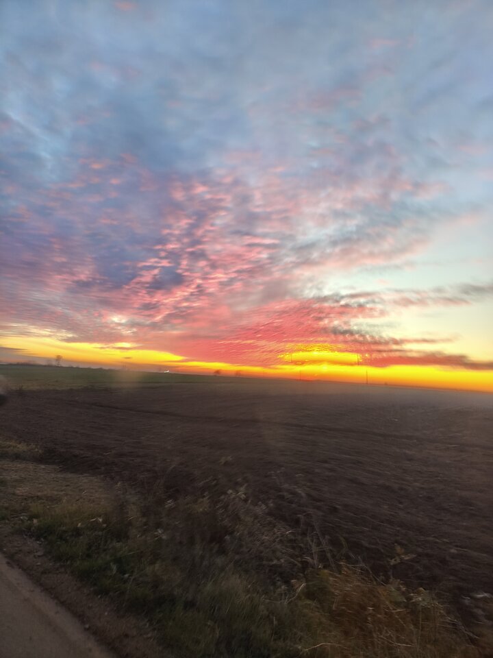 1000018763.jpg - Koiioo