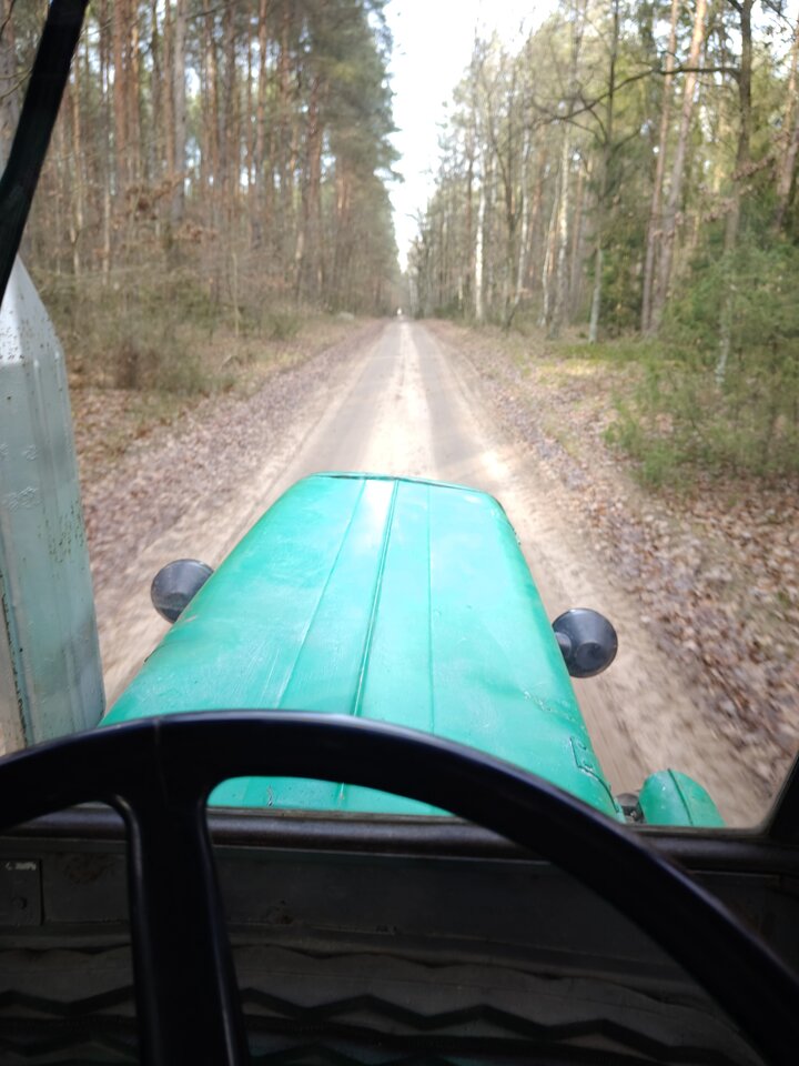 1000018760.jpg - Koiioo