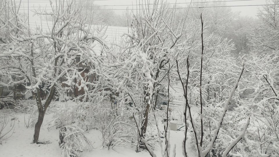 1000009227.jpg - szukampaninasex69