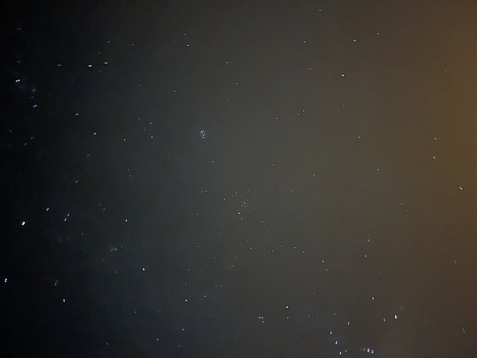 IMG_7397.jpeg - Mydwoje1971