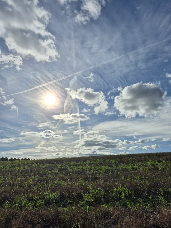 1000051941.jpg - Miniek234