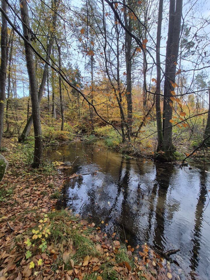 1000052256.jpg - Miniek234