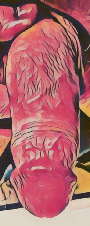 1000004212.jpg - MajorkaFuckAss