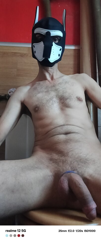 1000016491.jpg - Mig73