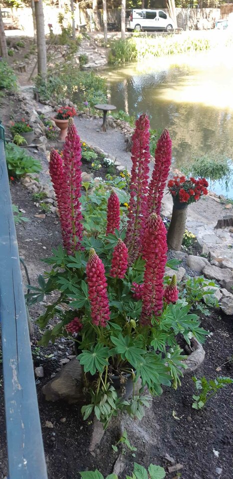 1000002637.jpg - on3611