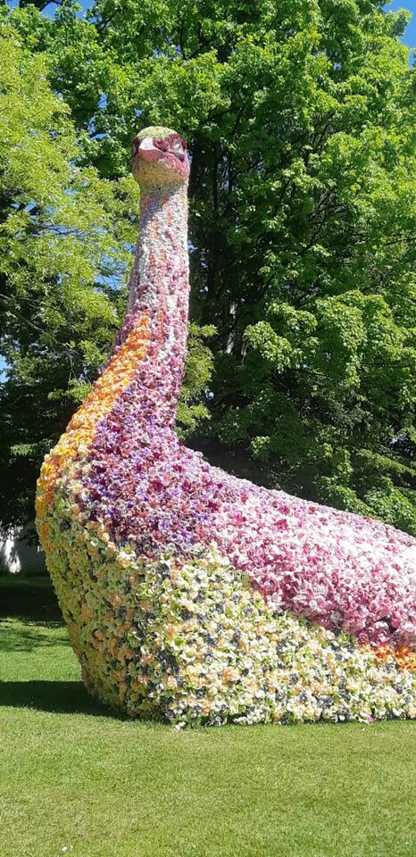 1000002629.jpg - on3611