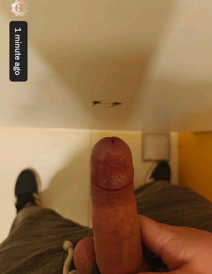 Kabina Europa centralna pomiędzy Jula a Jysk  - Nasdwoch9298