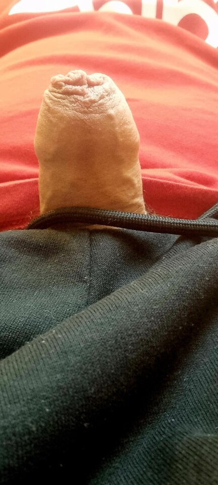 1000044691.jpg - Parkka321