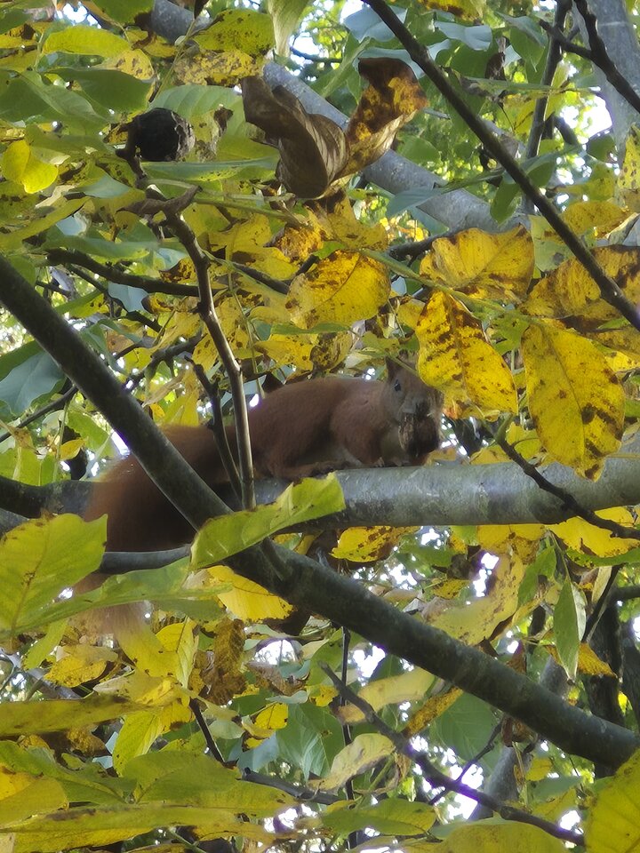 1000051955.jpg - Miniek234