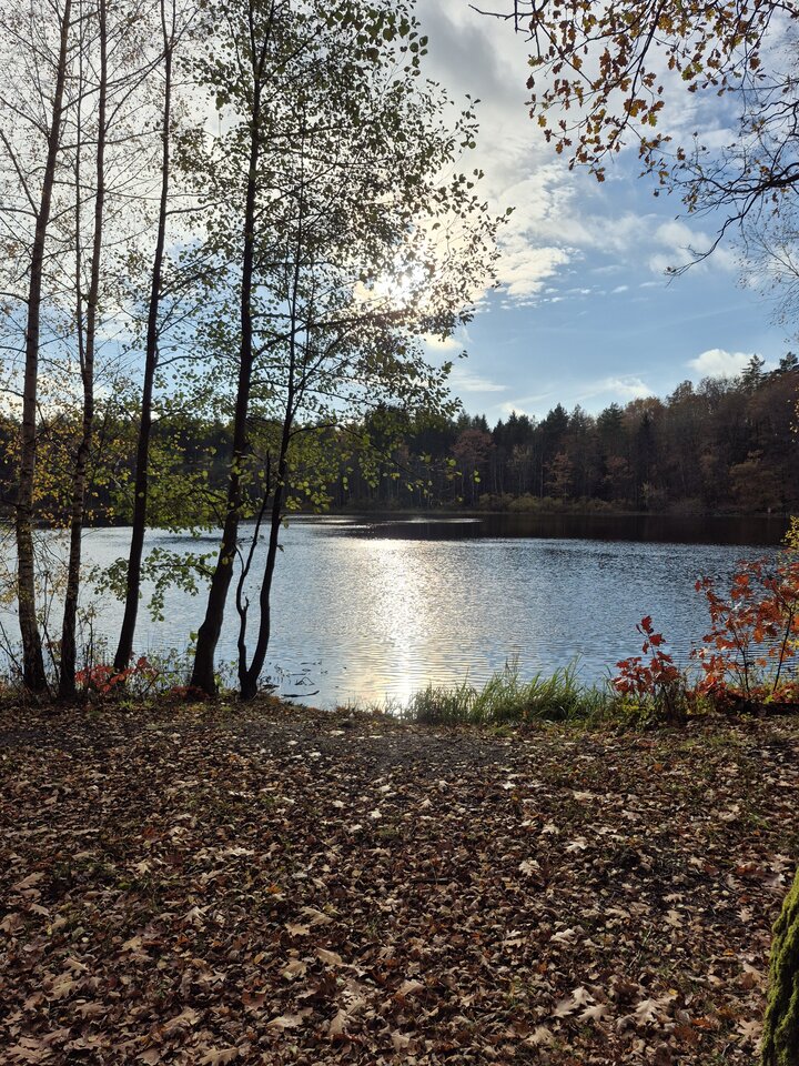 1000052402.jpg - Miniek234