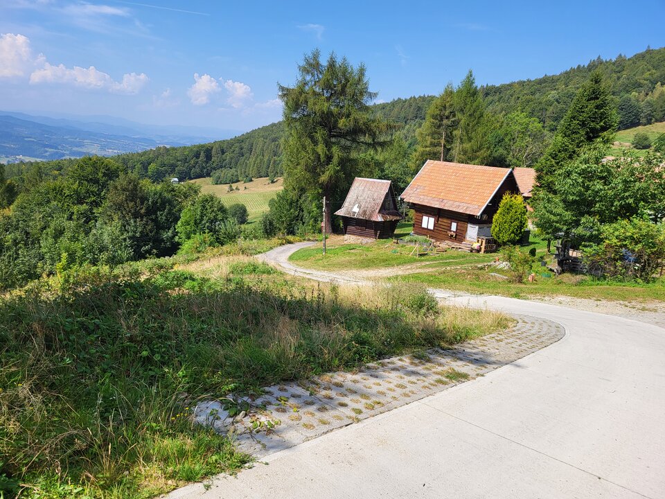 20240830_124350.jpg - Janjakis