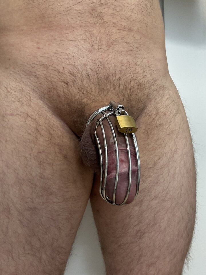 IMG_8123.jpeg - Loooose