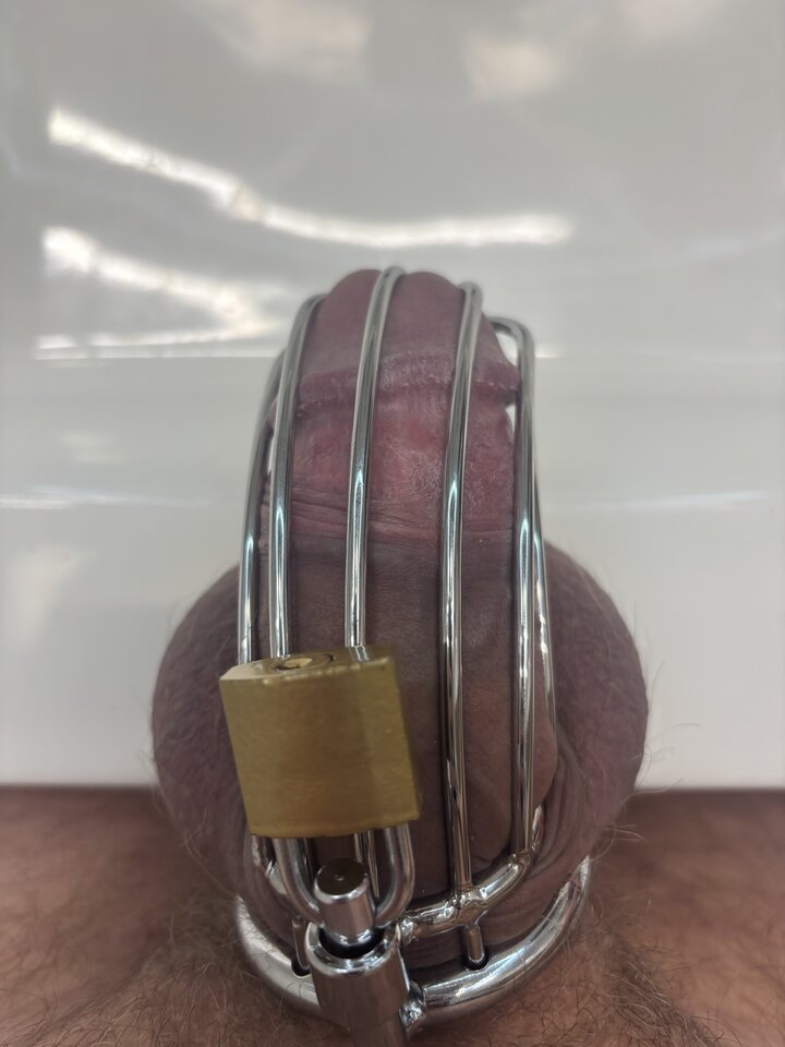 IMG_8126.jpeg - Loooose