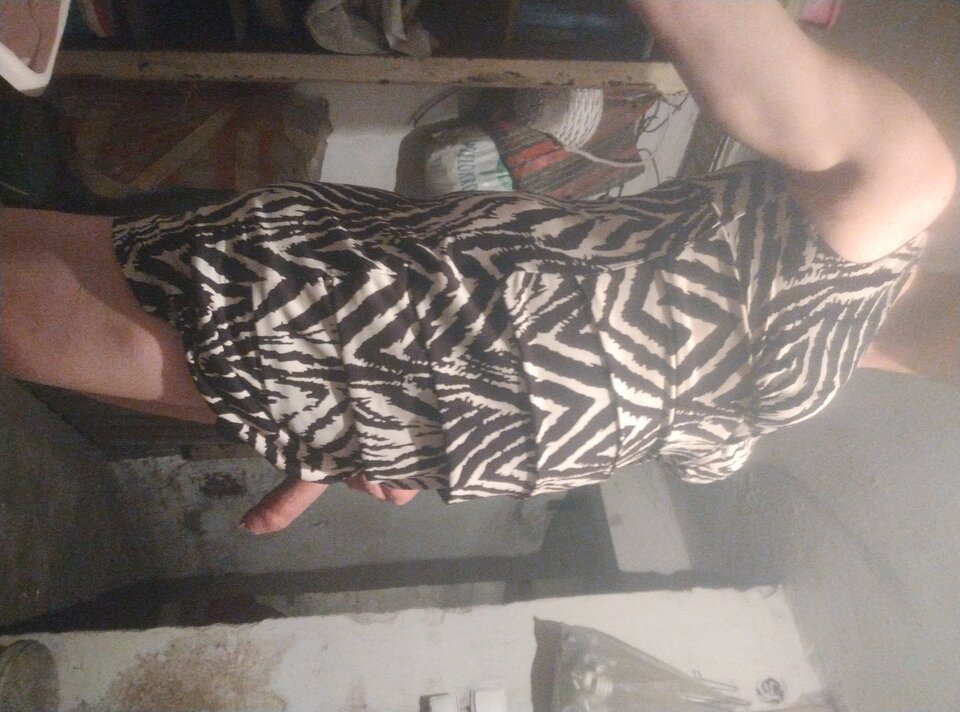 IMG_20251124_225548596.jpg - Pinguary2345