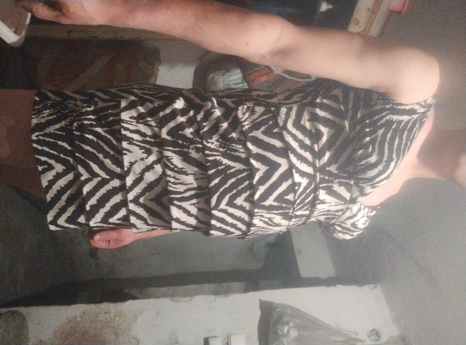 IMG_20251124_225615115.jpg - Pinguary2345