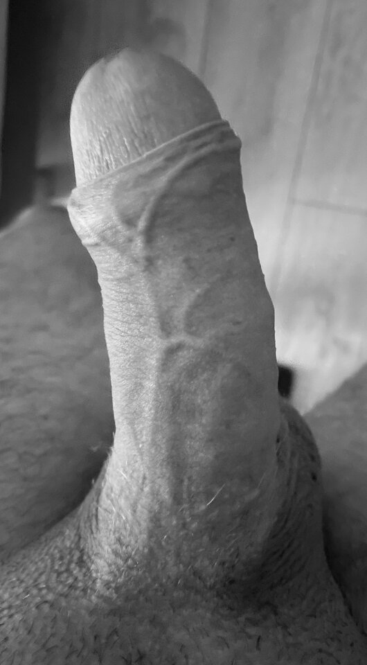 IMG_1526.jpeg - hiscumonmyface