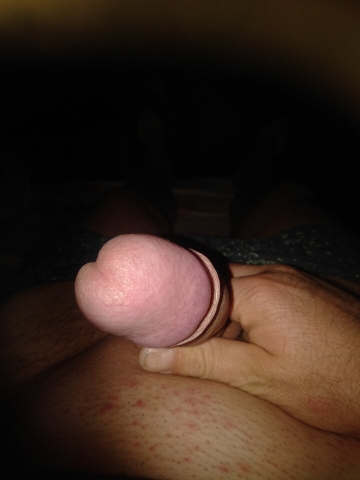 IMG20251125000005.jpg - holywood