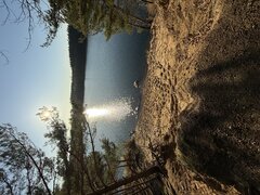 IMG_2178.jpeg