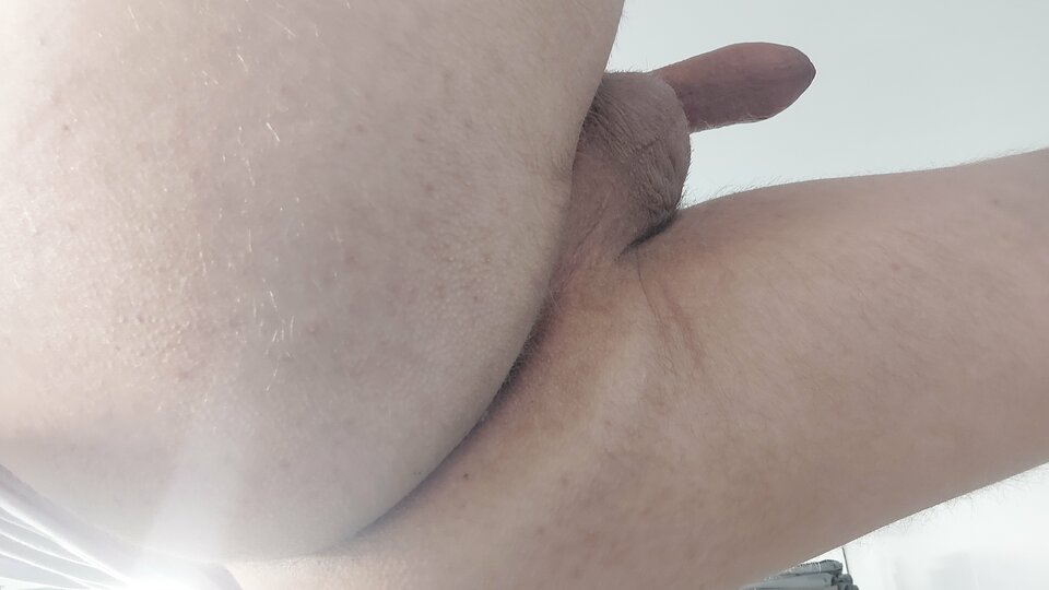 1000066817.jpg - Patrros