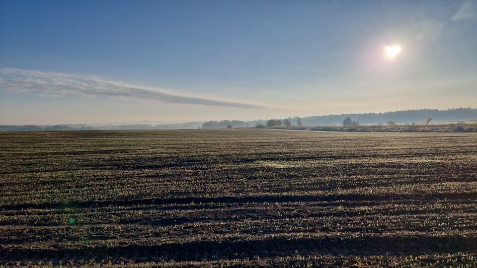 1000013024.jpg - dado1234