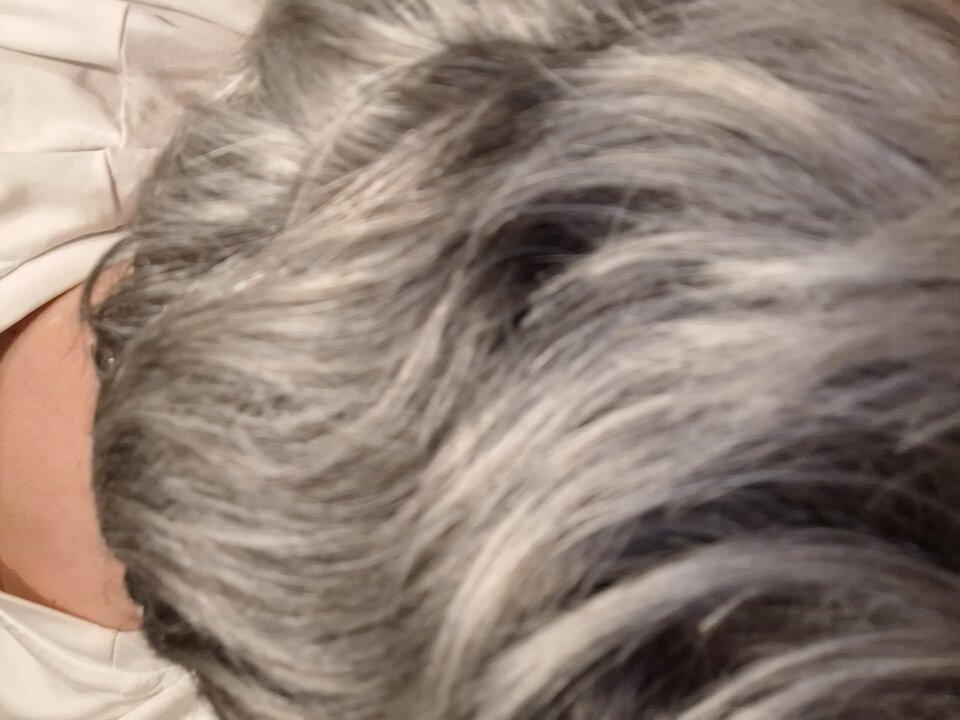 1000010413.jpg - 2205JOGI