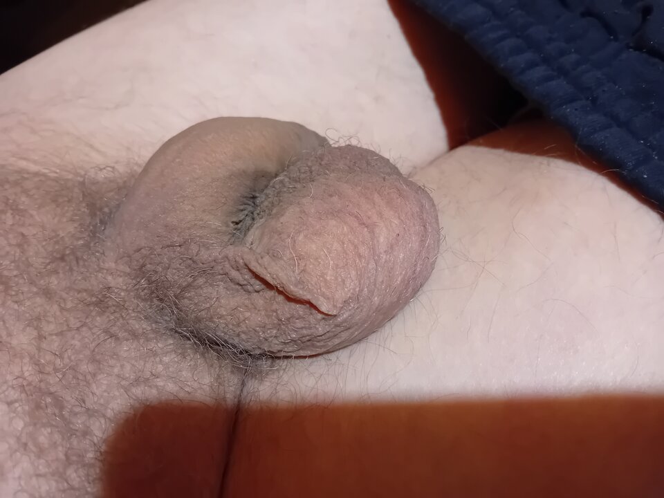 1000009647.jpg - brus13