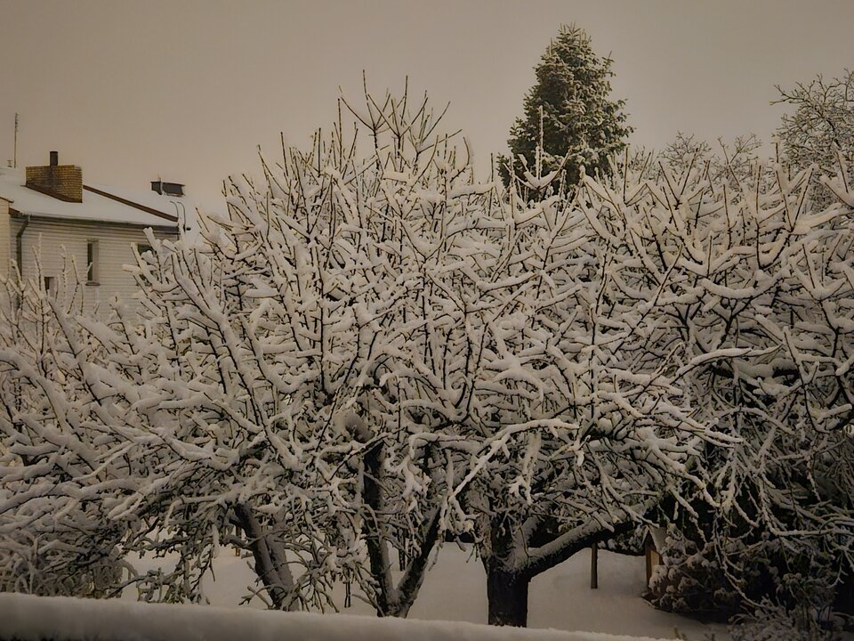 1000010126.jpg - zenekmaly