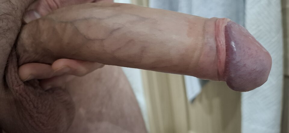 1000010559.jpg - hoolsik456