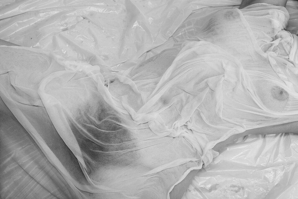 _MG_7275.jpg - Trektrek