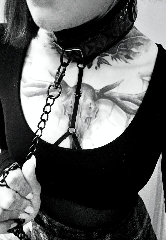 1000026726.jpg - Ailurus