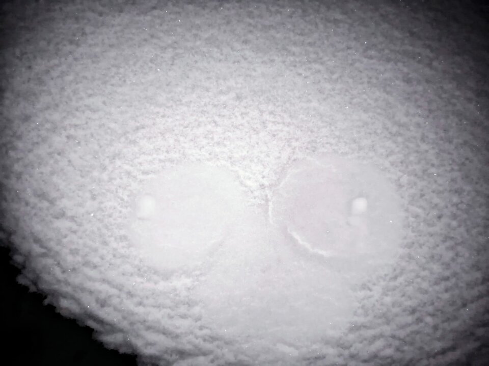 2c9cf50f-9aa7-49d2-bcd2-5c0846b30244.jpeg - AnielskaPara