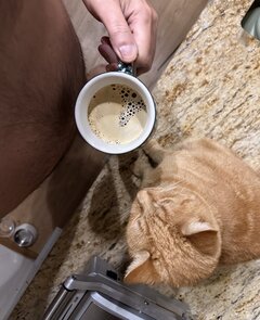 🐈 ☕️