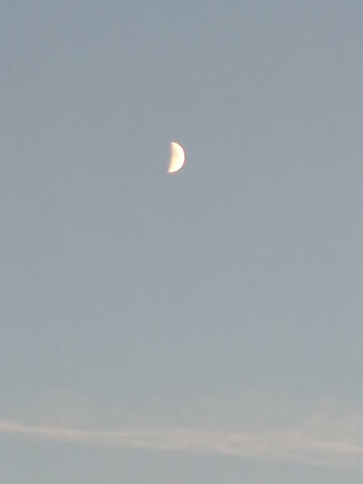 1000005253.jpg - Szum77