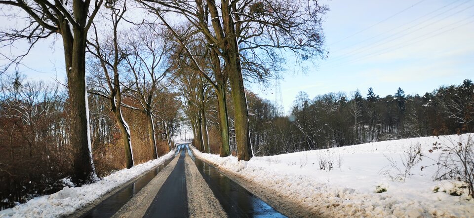 IMG_20251127_100153.jpg - CalvoConBarba