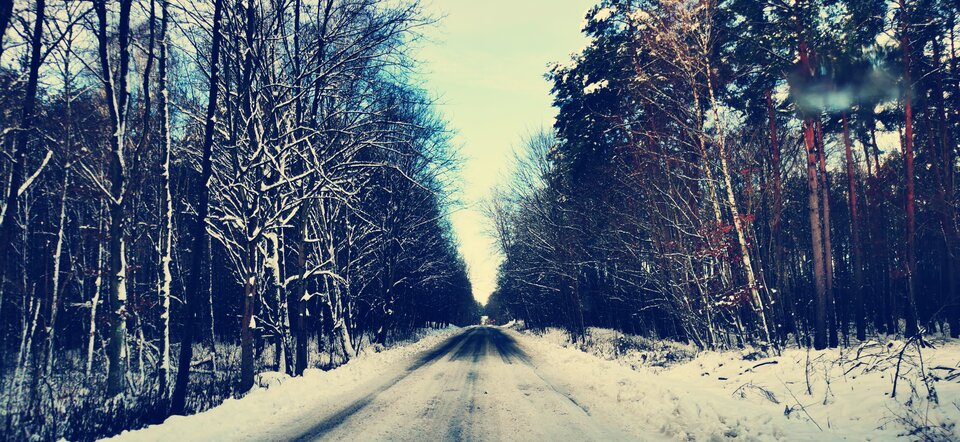 IMG_20251127_185007.jpg - CalvoConBarba