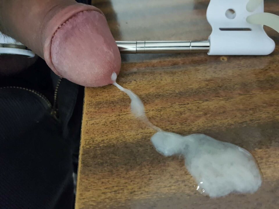 20231215_051314_capture.jpg - Whitelittlecock