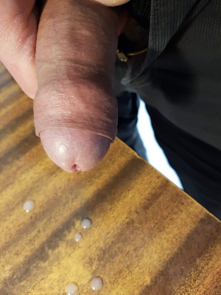 20240117_233742.jpg - Whitelittlecock