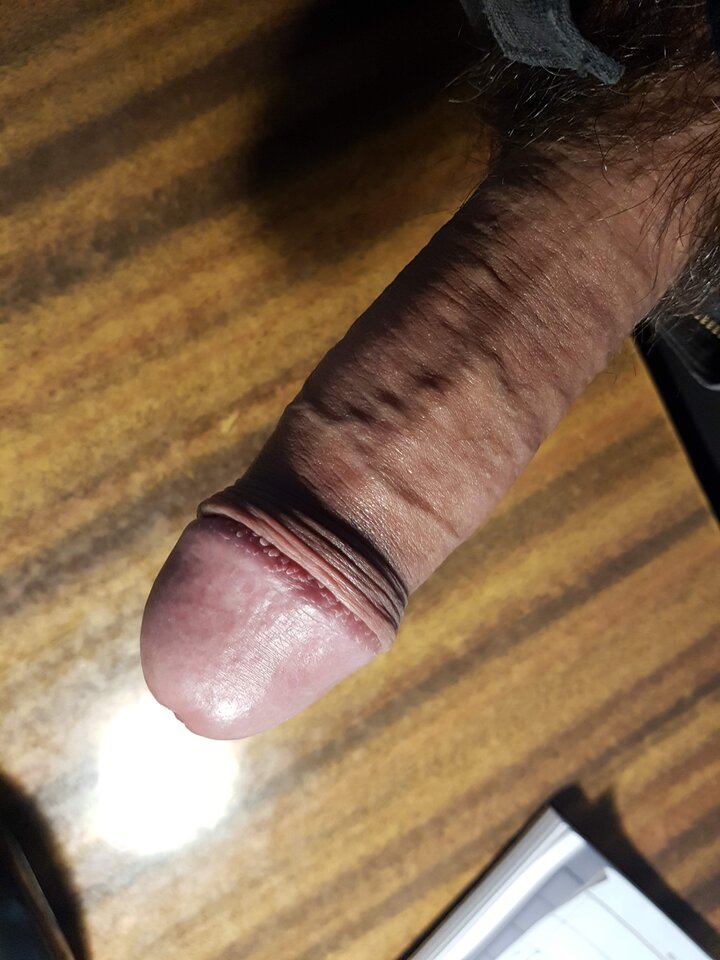 20240125_215932.jpg - Whitelittlecock