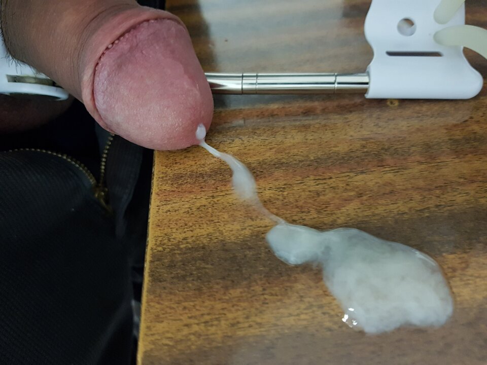 20231215_051314.jpg - Whitelittlecock