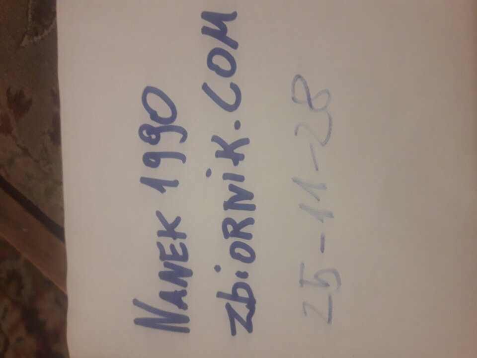17643043151873158026849974097083.jpg - Nanek1990