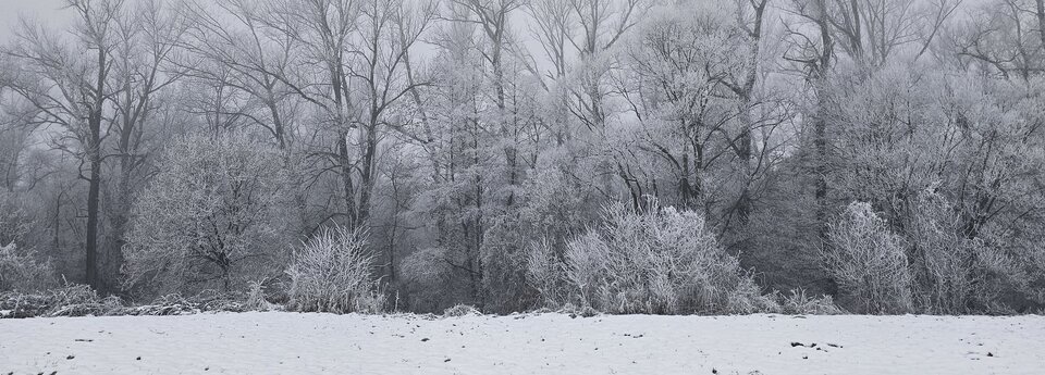 20251128_071233(1).jpg - bizetka