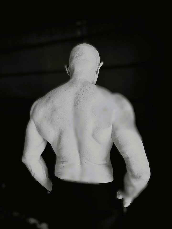 H_H.jpeg - Hard_Horse