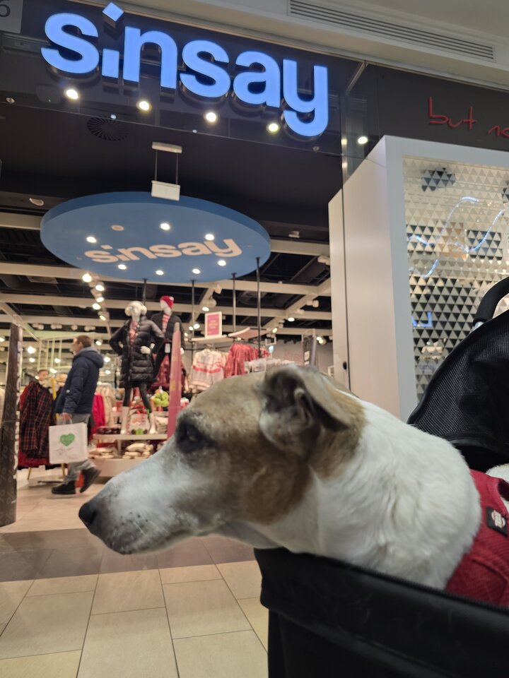 Galeria Silesia . - LucyferFit76