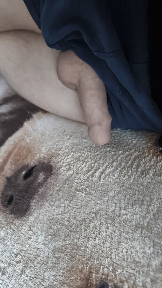 1000008296.jpg - Rado694169